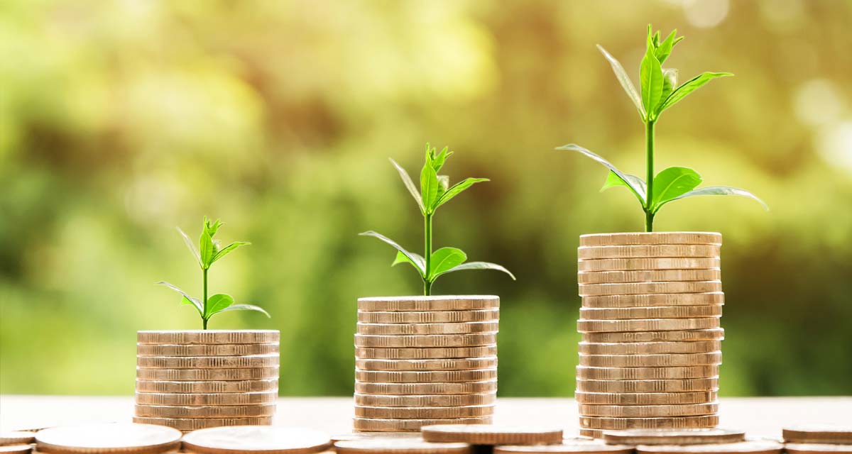 Wolność finansowa. Czym jest i jak ją osiągnąć?